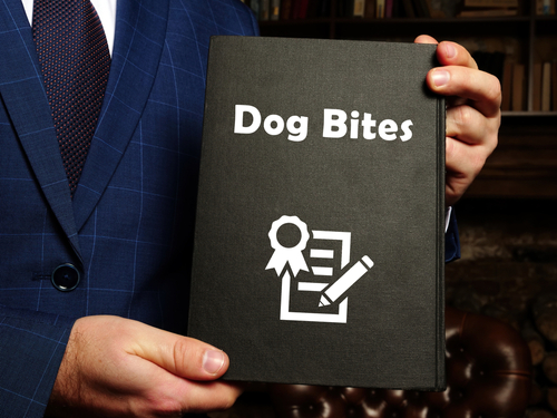 Person in a suit holding a black folder labeled Dog Bites with a legal icon.