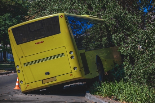 A city bus veered off the road and crashed into a tree, partially lifted onto the curb with visible damage to the front and side, surrounded by traffic cones marking the accident scene.